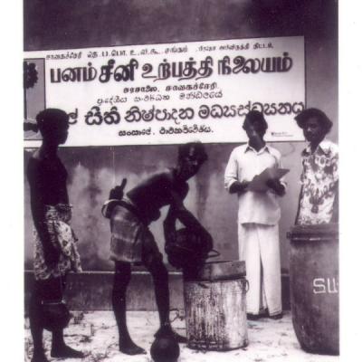 Jafna Thal Hakuru Nipadwema Industrial 1970th 