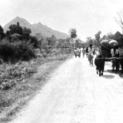 Wallawaya 