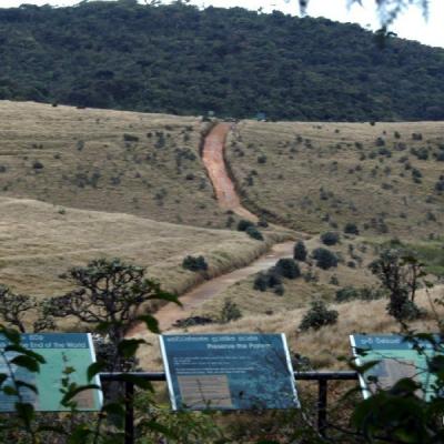 Up Country12