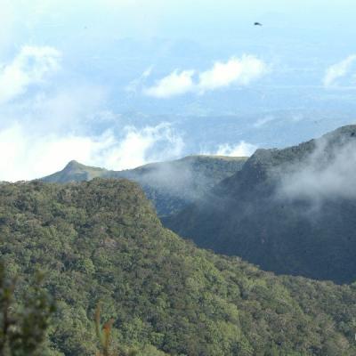 Up Country14