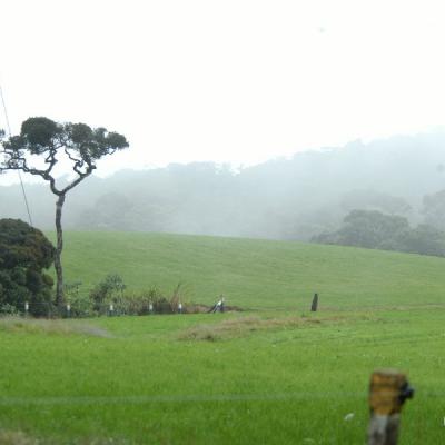 Up Country2