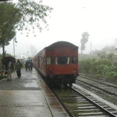 Up Country9